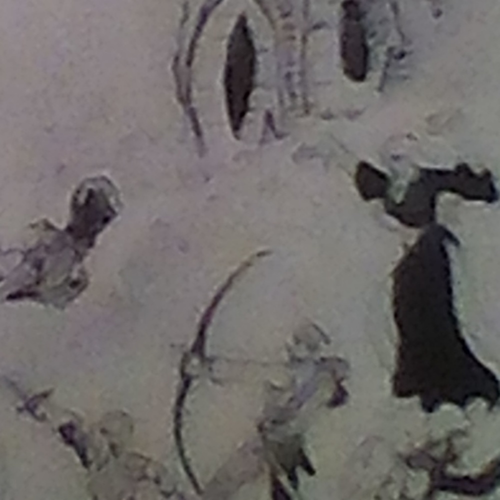 Meet your Posher, Devin